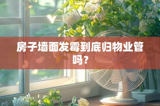 房子墙面发霉到底归物业管吗？