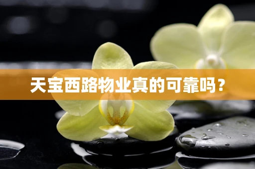 天宝西路物业真的可靠吗？