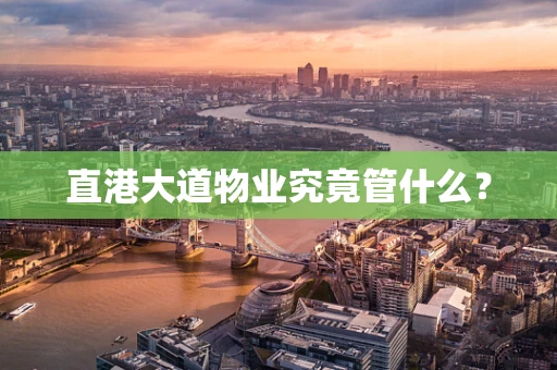 直港大道物业究竟管什么？