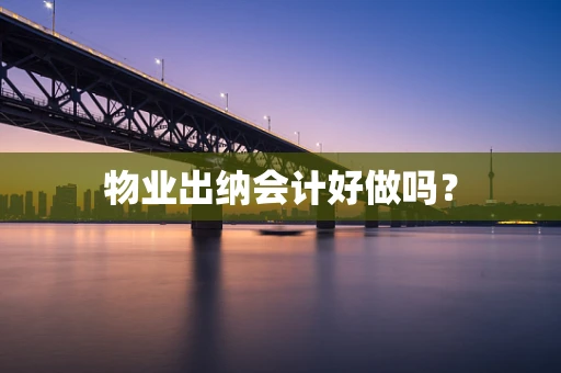 物业出纳会计好做吗？