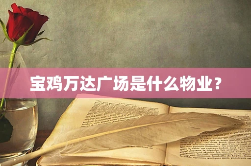 宝鸡万达广场是什么物业？