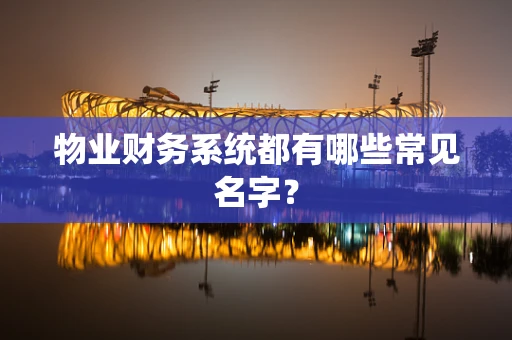 物业财务系统都有哪些常见名字？
