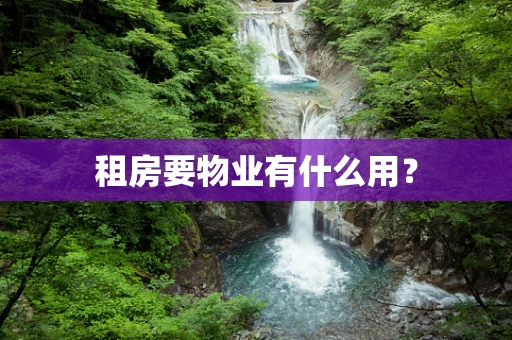 租房要物业有什么用？
