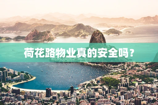 荷花路物业真的安全吗？