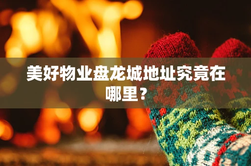 美好物业盘龙城地址究竟在哪里？