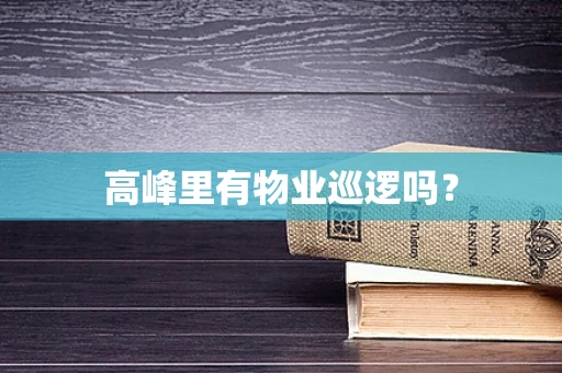 高峰里有物业巡逻吗？