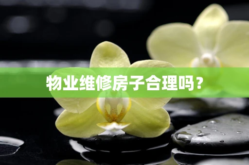 物业维修房子合理吗？