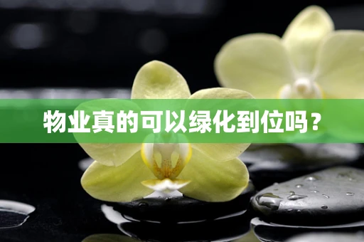 物业真的可以绿化到位吗？