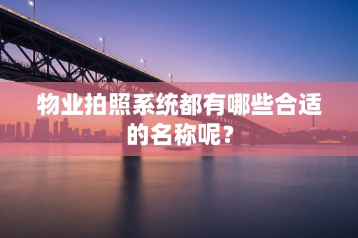 物业拍照系统都有哪些合适的名称呢？