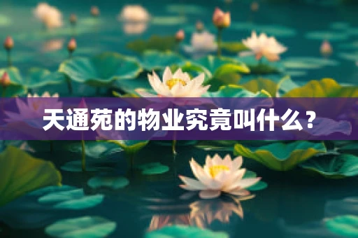 天通苑的物业究竟叫什么？