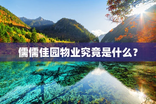 儒儒佳园物业究竟是什么？