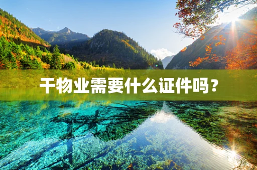 干物业需要什么证件吗？