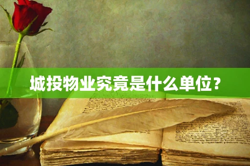 城投物业究竟是什么单位？