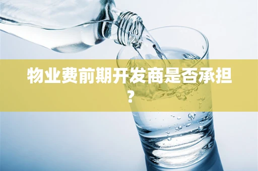 物业费前期开发商是否承担？