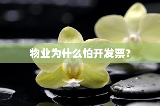 物业为什么怕开发票？