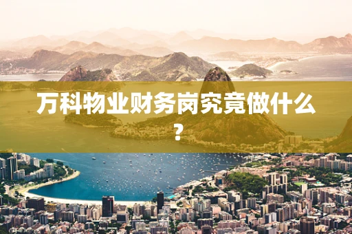 万科物业财务岗究竟做什么？