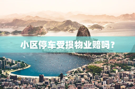 小区停车受损物业赔吗？