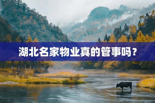 湖北名家物业真的管事吗？
