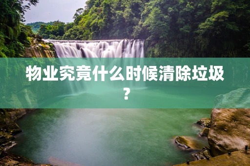 物业究竟什么时候清除垃圾？