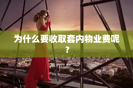 为什么要收取套内物业费呢？