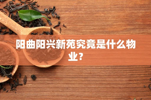 阳曲阳兴新苑究竟是什么物业？