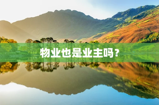 物业也是业主吗？