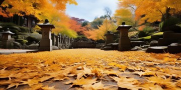 枫清泊静物业是什么？